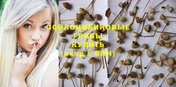 стаф Осташков