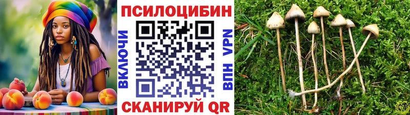 Псилоцибиновые грибы Psilocybe Сорочинск