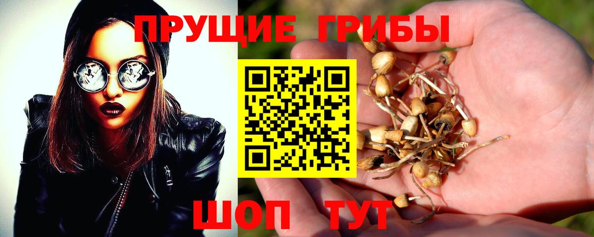 Псилоцибиновые грибы прущие грибы Сорочинск